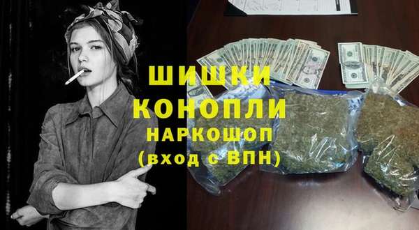прущие грибы Абаза