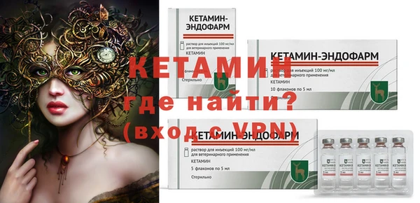 прущие грибы Абаза
