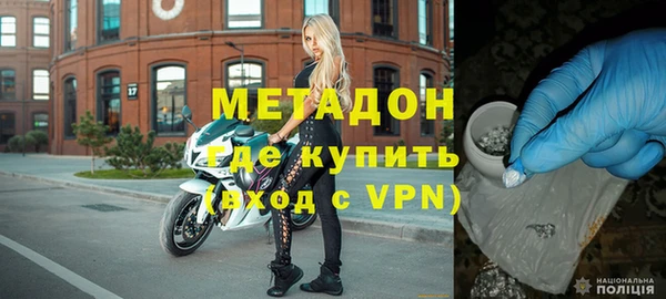 прущие грибы Абаза