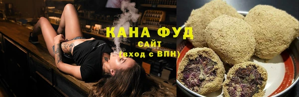 прущие грибы Абаза