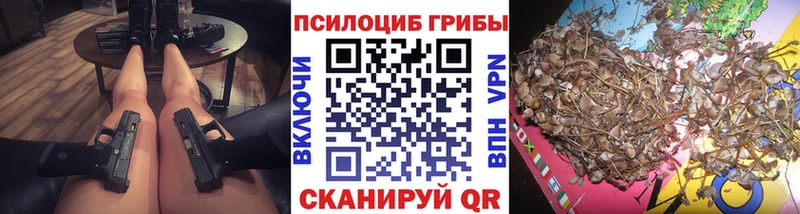 Псилоцибиновые грибы GOLDEN TEACHER  купить закладку  Курск 
